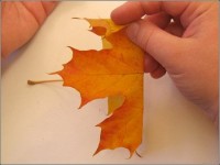art-origami-rose-from-mapple-leaf-02.jpg