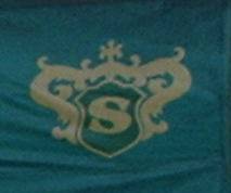 Logo Casa Silva