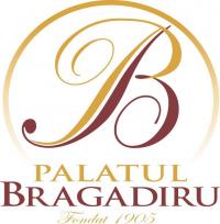 Logo Palatul Bragadiru