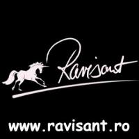 Logo Ravisant