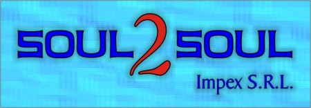 Logo Soul 2 Soul