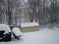 006 (2)small.JPG
