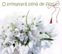 o-primavara-cu-multe-flori-t1e056d2bn1o[1].jpg