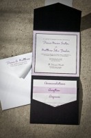 purple_white_837_10_m.jpg