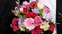 IMG_4997_resize.jpg