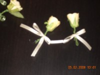 DSCN0222.jpg