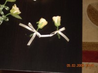 DSCN0223.jpg