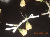 DSCN1610.jpg