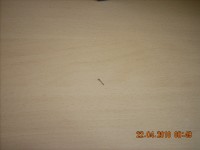 DSCN0276.jpg