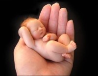 little-baby-art-01.jpg