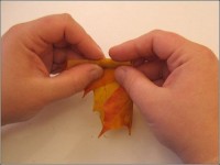art-origami-rose-from-mapple-leaf-03.jpg