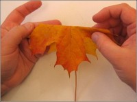 art-origami-rose-from-mapple-leaf-01.jpg