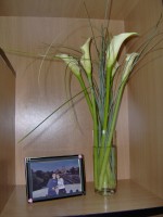 HPIM0648.JPG