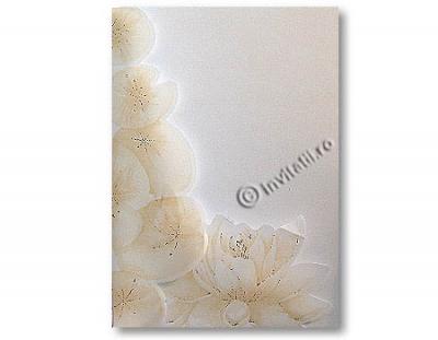 poze Invitatii nunta/ Carduri nunti