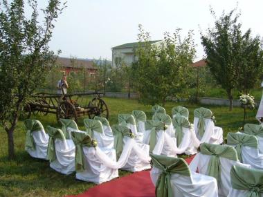 poze Decoratiuni nunti
