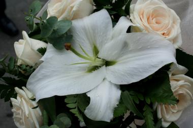 poze Buchete mireasa/ Aranjamente florale