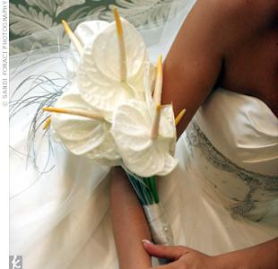 poze Buchete mireasa/ Aranjamente florale