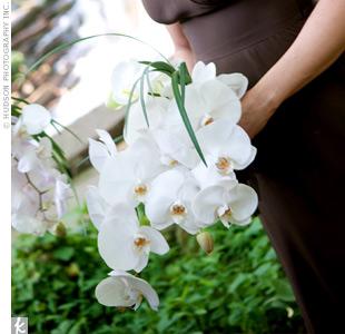 poze Buchete mireasa/ Aranjamente florale