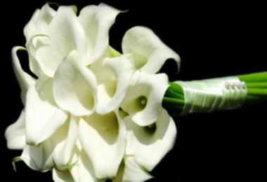 poze Buchete mireasa/ Aranjamente florale