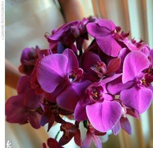 poze Buchete mireasa/ Aranjamente florale