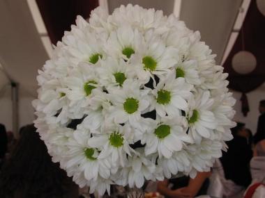 poze Buchete mireasa/ Aranjamente florale