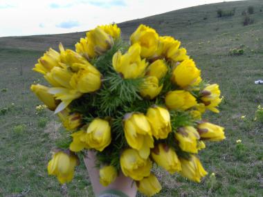 poze Buchete mireasa/ Aranjamente florale