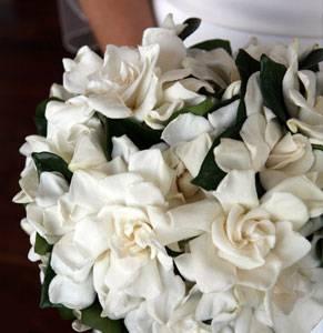 poze Buchete mireasa/ Aranjamente florale
