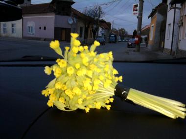 poze Buchete mireasa/ Aranjamente florale