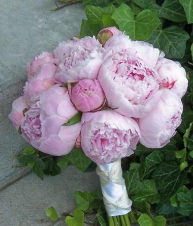 poze Buchete mireasa/ Aranjamente florale