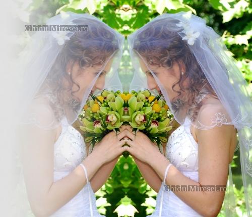 poze Fotografii nunta artistice