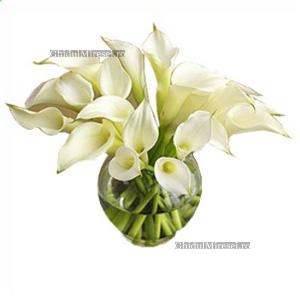 poze Buchete mireasa/ Aranjamente florale