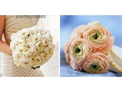 poze Buchete mireasa/ Aranjamente florale
