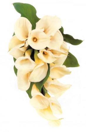 poze Buchete mireasa/ Aranjamente florale