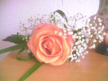 poze Buchete mireasa/ Aranjamente florale