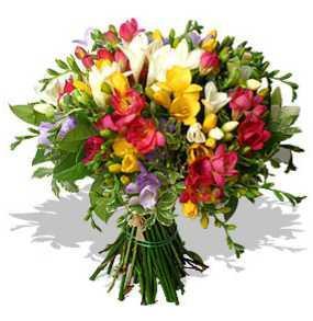 poze Buchete mireasa/ Aranjamente florale