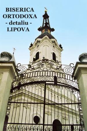 poze Poze nunti utilizatori