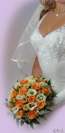 poze Poze nunti utilizatori
