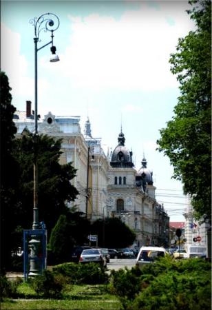 poze Poze nunti utilizatori