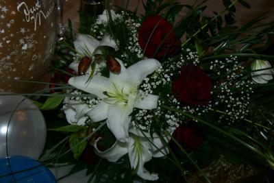 poze Buchete mireasa/ Aranjamente florale