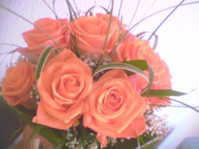 poze Buchete mireasa/ Aranjamente florale