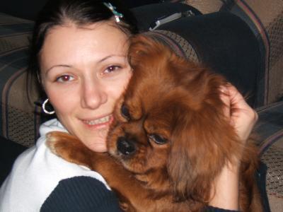 poze Poze nunti utilizatori