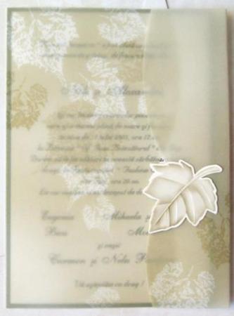 poze Invitatii nunta/ Carduri nunti