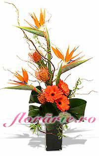 poze Buchete mireasa/ Aranjamente florale