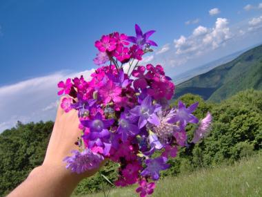 poze Buchete mireasa/ Aranjamente florale