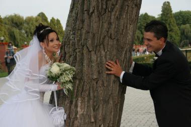 poze Poze nunti utilizatori