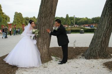 poze Poze nunti utilizatori