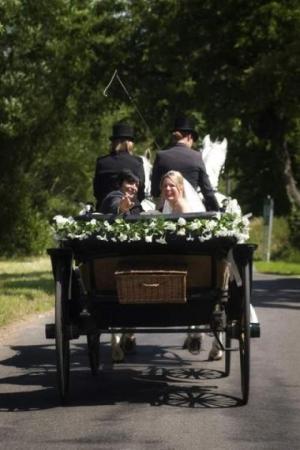 poze Poze nunti utilizatori