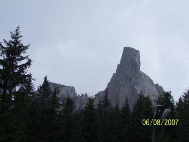 poze Poze nunti utilizatori