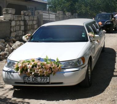 poze Poze nunti utilizatori