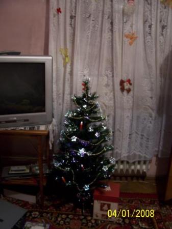 poze Poze nunti utilizatori